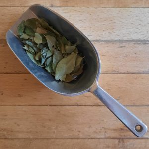 Curry Leaves - 10g