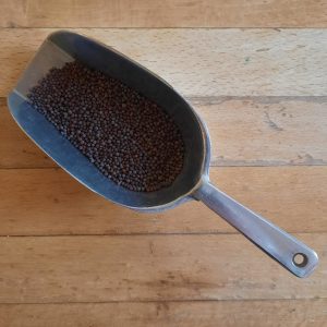 Mustard seeds- brown ORG - 50g