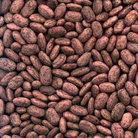 Pinto Beans ORG - 500g