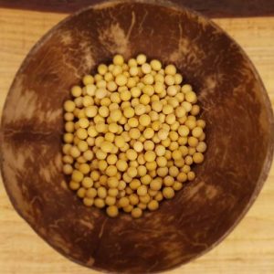 Soya beans ORG - 500g