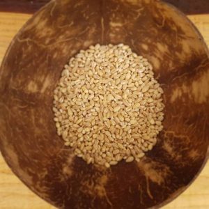 Pearl Barley - 500g