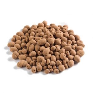 Raw Choc Vanoffee Cashews ORG - 100g